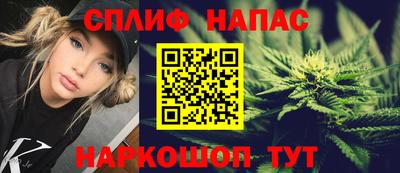 хмурый Дубна