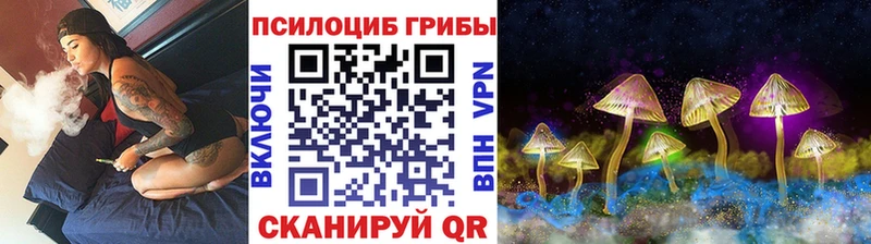купить наркотик  Нарткала  Галлюциногенные грибы мицелий 