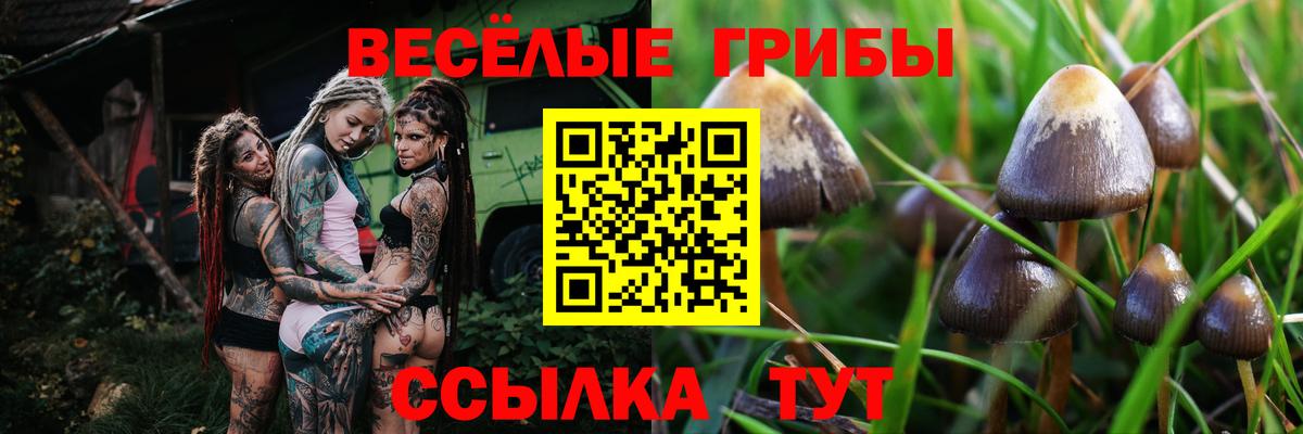 Галлюциногенные грибы мухоморы  Вход с VPN  Галлюциногенные грибы MAGIC MUSHROOMS  Нарткала 