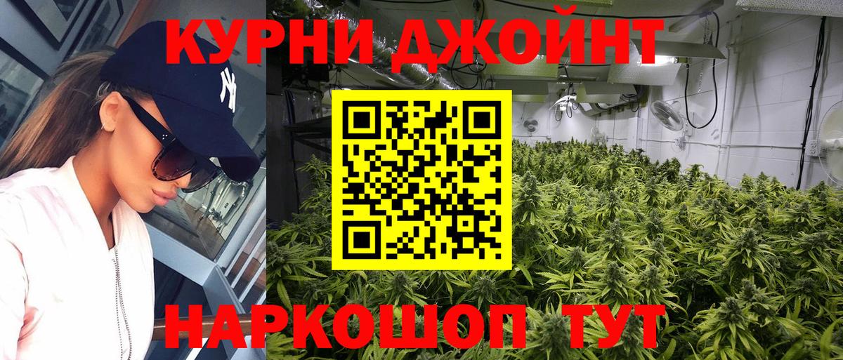 Шишки марихуана семена Нарткала